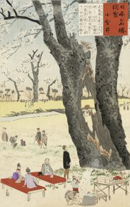小金井，樱花来自日本着名地方的草图，1896年（彩色木版画） 作者 小林清一